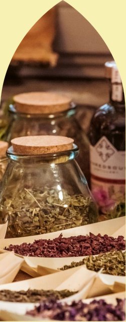 The art of herbalism