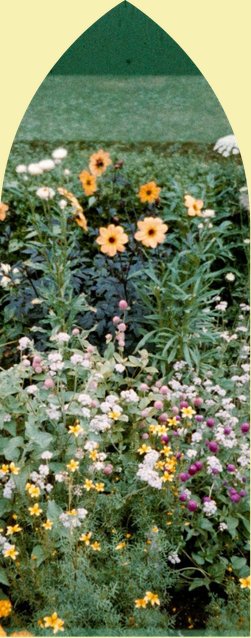 The garden — botanicals and flowers